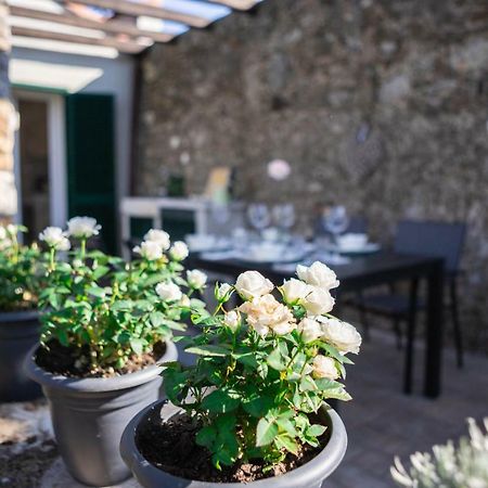 Gardenhouse Sarzana Apartman Kültér fotó