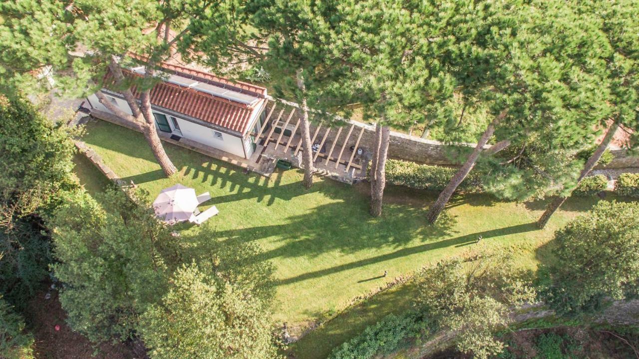 Gardenhouse Sarzana Apartman Kültér fotó